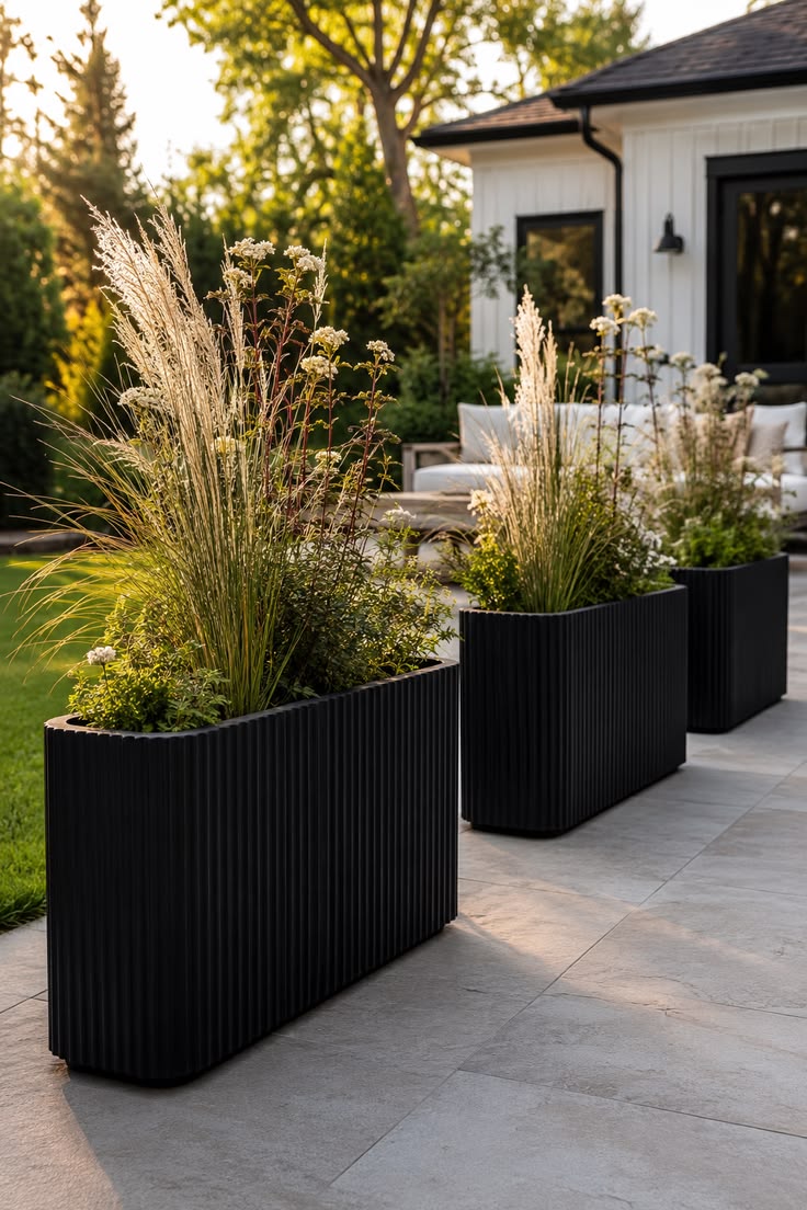 Tall black fluted planter for shrubs and flowers